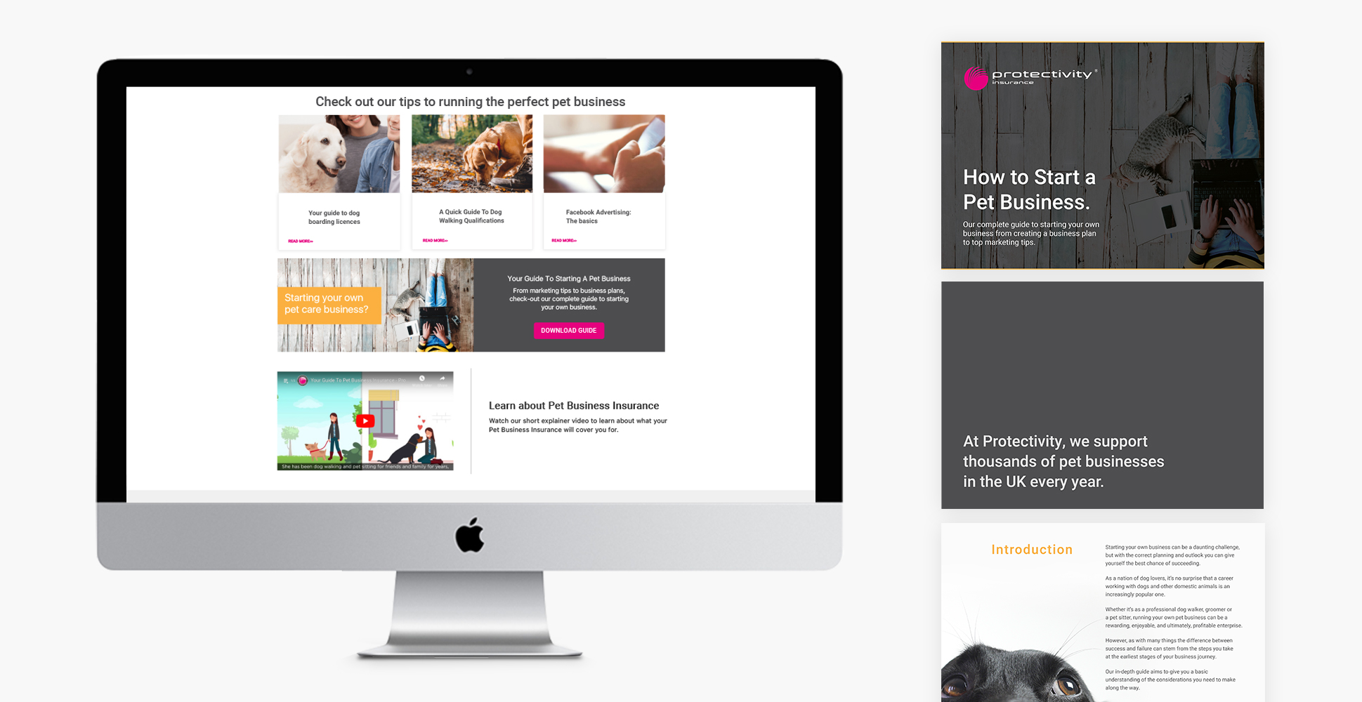 protectivity-digital document